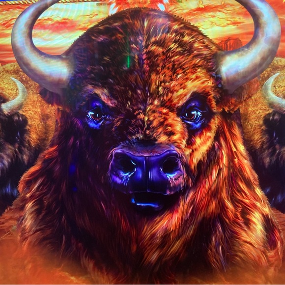 Lucky Brand women’s SZ M Tan Suede Fringe festival Jacket, western inspired - Picture 11 of 11